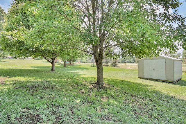 13348 S Stephen Dr, Palos Park, IL 60464 - view of grassy yard featuring a shed