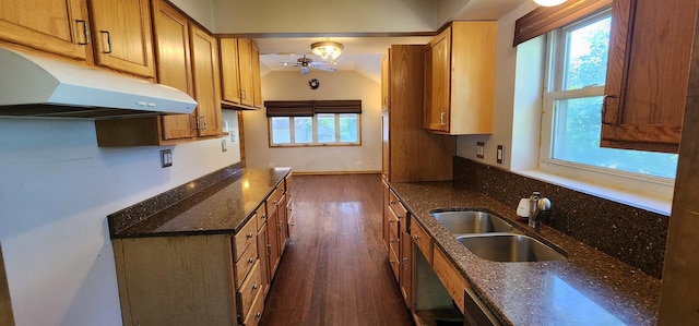 504 W Avery St, Elmhurst, IL 60126 - kitchen with under cabinet range hood, dark wood-style floors, a ceiling fan, dark stone countertops, and lofted ceiling