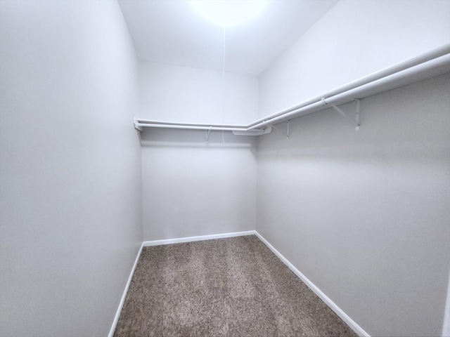 14326 Irving Ave, Dolton, IL 60419 - spacious closet with carpet floors