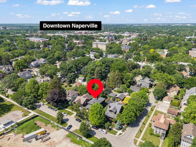 143 N Wright St, Naperville, IL 60540 - photo 38