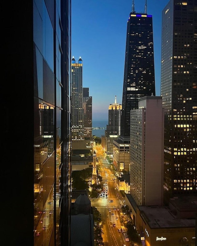 118 E Erie St Unit 19C, Chicago, IL 60611 - city view