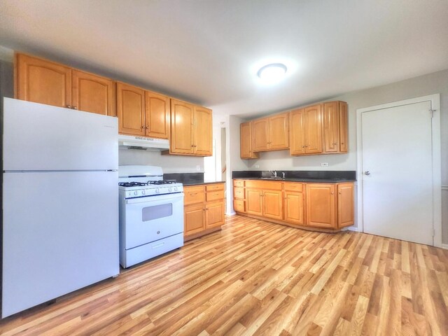 127 N Cedar Ln, Glenwood, IL 60425 - kitchen with white appliances, under cabinet range hood, light wood-style floors, and dark countertops