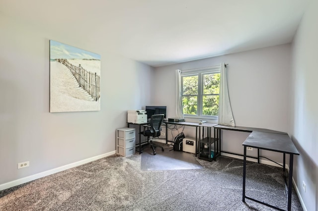 1718 Rosewood Ln, Johnsburg, IL 60051 - office space with carpet floors and baseboards