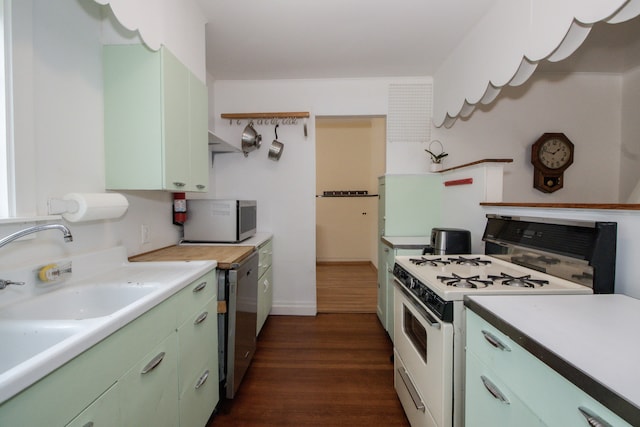 312 Home Ave, Oak Park, IL 60302 - kitchen with stainless steel appliances, green cabinets, dark wood finished floors, and light countertops
