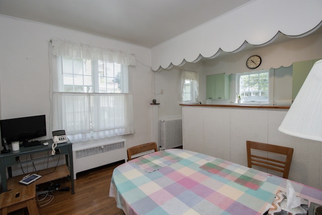 312 Home Ave, Oak Park, IL 60302 - bedroom with radiator heating unit and dark wood finished floors