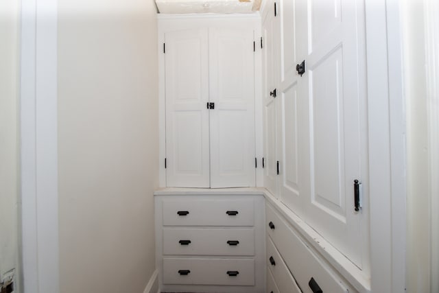 312 Home Ave, Oak Park, IL 60302 - view of closet