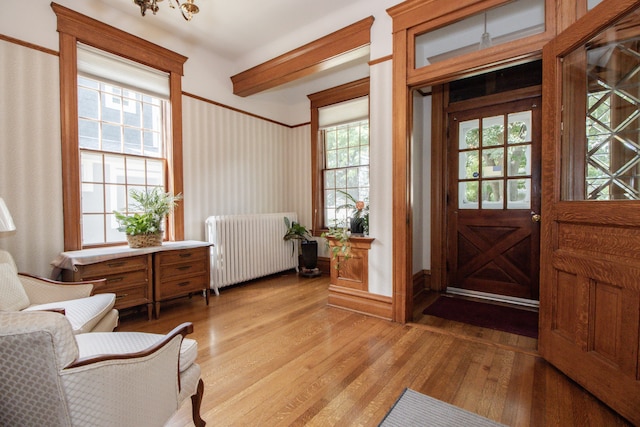 312 Home Ave, Oak Park, IL 60302 - foyer featuring radiator, light wood finished floors, and healthy amount of natural light