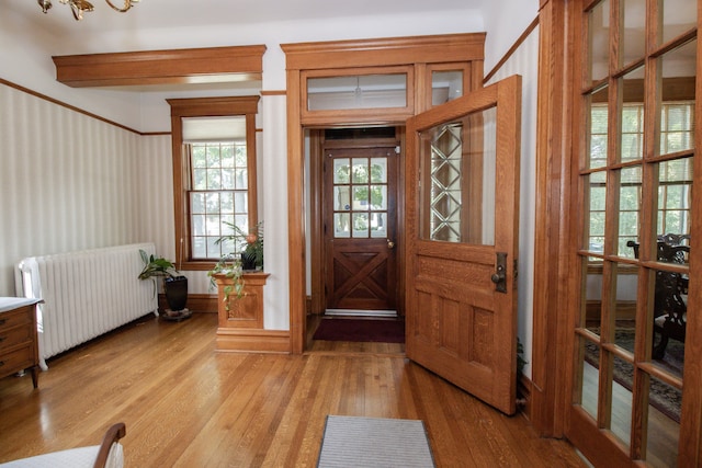 312 Home Ave, Oak Park, IL 60302 - foyer entrance featuring radiator heating unit and light wood-type flooring