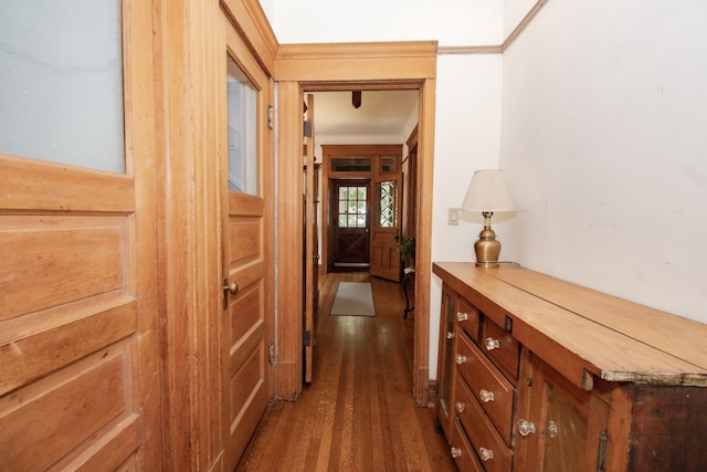 312 Home Ave, Oak Park, IL 60302 - hall with dark wood finished floors