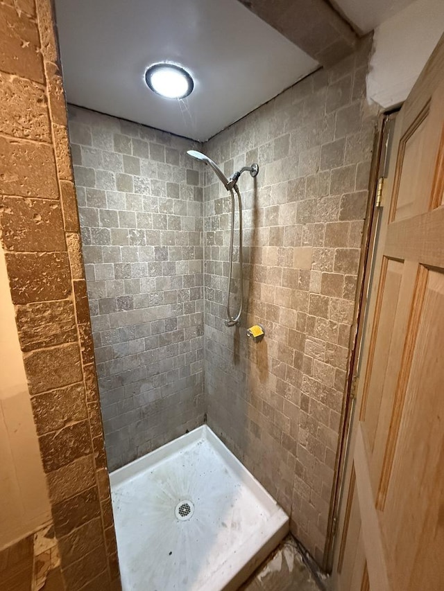 1826 Albert Ln, Wilmington, IL 60481 - bathroom featuring tiled shower
