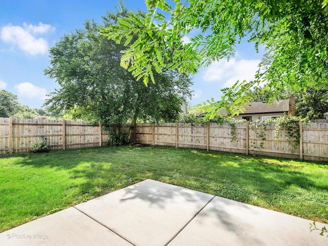 865 W Bryn Mawr Ave, Roselle, IL 60172 - fenced backyard with a patio