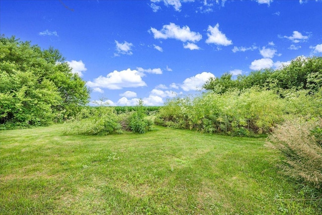2644 E Northtown Rd, Towanda, IL 61776 - photo 26