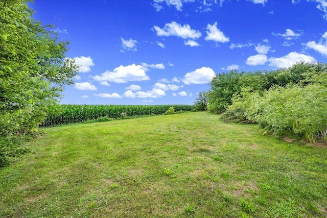 2644 E Northtown Rd, Towanda, IL 61776 - photo 41