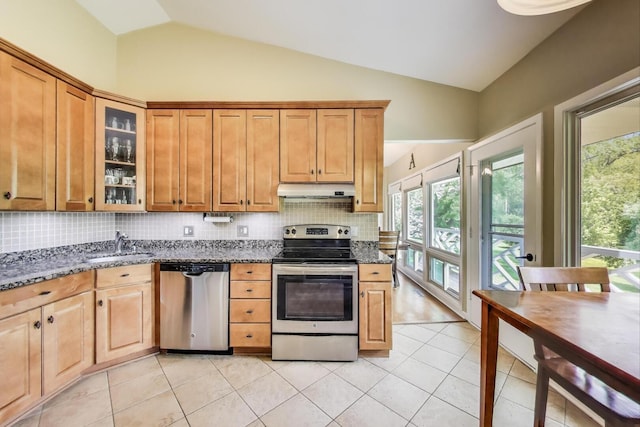 141 S Cedar St, Palatine, IL 60067 - kitchen with stainless steel appliances, lofted ceiling, under cabinet range hood, backsplash, and healthy amount of natural light