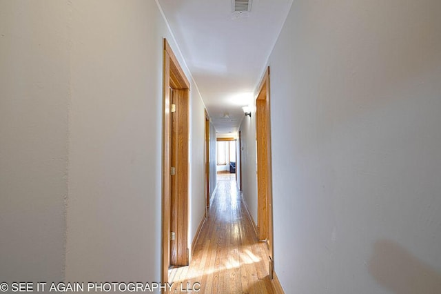 5942 S Calumet Ave, Chicago, IL 60637 - hallway with light wood-style flooring and baseboards