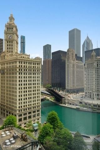 403 N Wabash Ave Unit 13C, Chicago, IL 60611 - photo 4