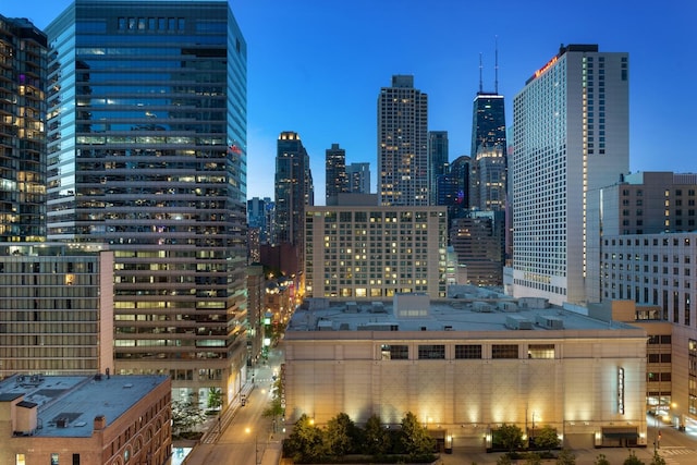 403 N Wabash Ave Unit 13C, Chicago, IL 60611 - photo 36