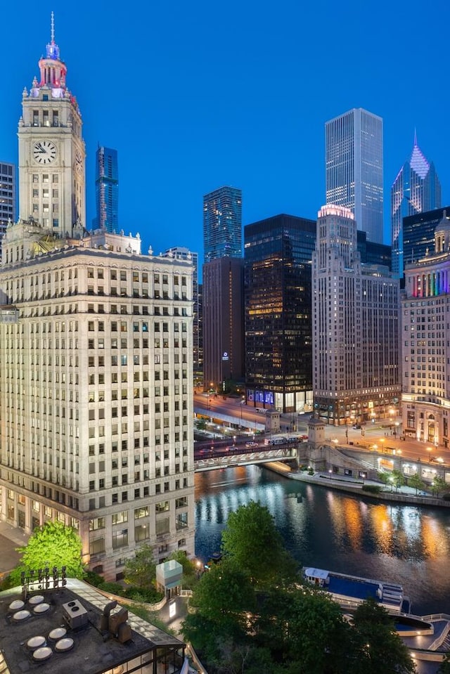 403 N Wabash Ave Unit 13C, Chicago, IL 60611 - photo 37