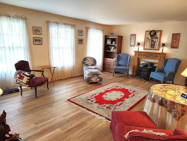 28442 W Main St, Barrington, IL 60010 - living room featuring light wood-style flooring and a wood stove