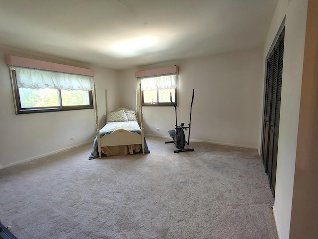 28442 W Main St, Barrington, IL 60010 - bedroom featuring multiple windows and carpet