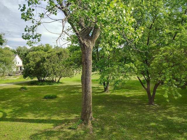 28442 W Main St, Barrington, IL 60010 - view of grassy yard
