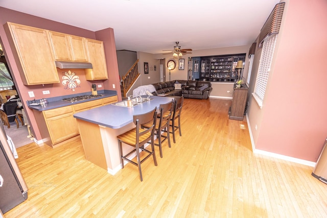614 Northgate Ln, Shorewood, IL 60404 - photo 12