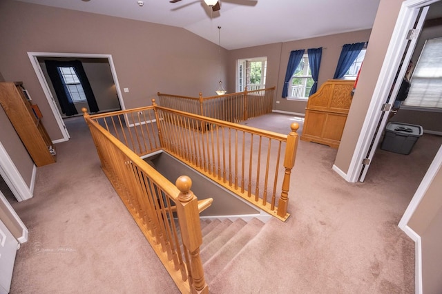 614 Northgate Ln, Shorewood, IL 60404 - photo 21