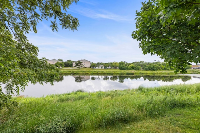 16026 85th Pl, Tinley Park, IL 60487 - water view