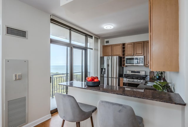 233 E 13th St Unit 2001, Chicago, IL 60605 - kitchen with appliances with stainless steel finishes, a peninsula, a kitchen breakfast bar, dark stone counters, and a wall of windows