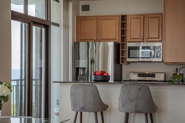 233 E 13th St Unit 2001, Chicago, IL 60605 - kitchen featuring stainless steel appliances, open shelves, healthy amount of natural light, and dark stone counters