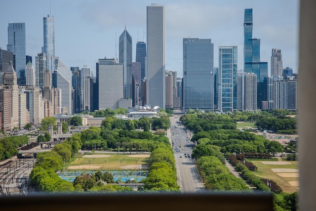 233 E 13th St Unit 2001, Chicago, IL 60605 - skyline view