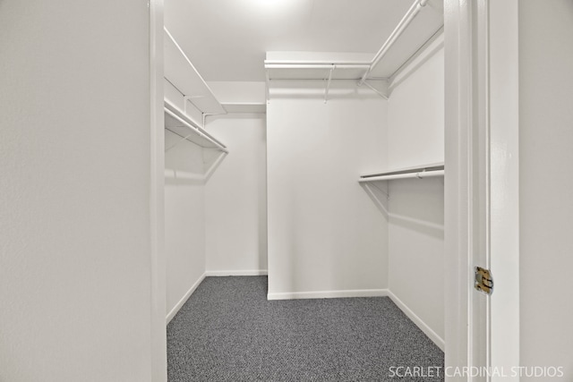 190 S Wood Dale Rd Unit 406, Wood Dale, IL 60191 - spacious closet with carpet flooring