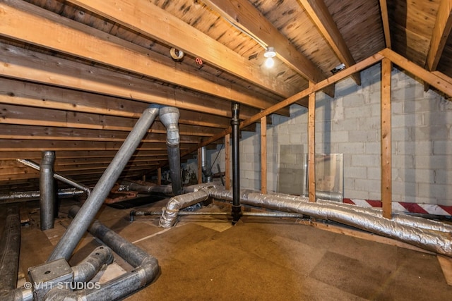 806 S May St, Chicago, IL 60607 - view of attic