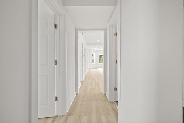 1532 S Homan Ave, Chicago, IL 60623 - hallway featuring light wood-style floors and recessed lighting
