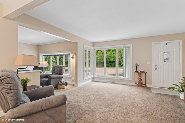 200 E Park Ave, Bloomingdale, IL 60108 - living area with carpet floors