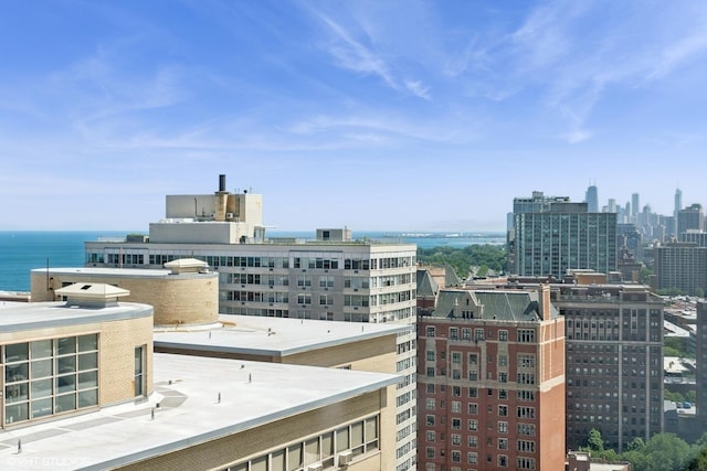 655 W Irving Park Rd Unit 2602, Chicago, IL 60613 - photo 26