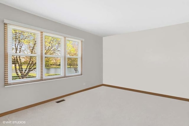970 E Amberwood Cir, Naperville, IL 60563 - photo 13