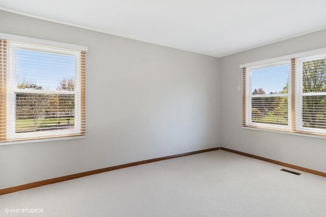 970 E Amberwood Cir, Naperville, IL 60563 - photo 14