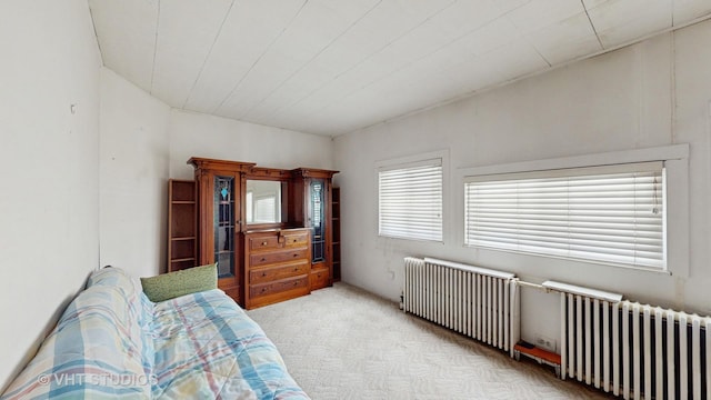 3120 N Natoma Ave, Chicago, IL 60634 - bedroom with radiator heating unit and light carpet