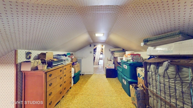 3120 N Natoma Ave, Chicago, IL 60634 - view of storage area
