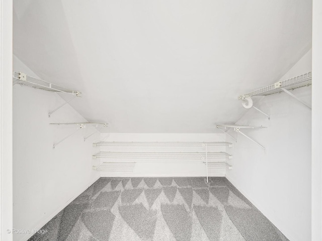 118 Burlington Ave, Clarendon Hills, IL 60514 - spacious closet featuring carpet