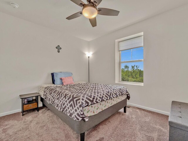 1617 Albany St, Grayslake, IL 60030 - photo 20