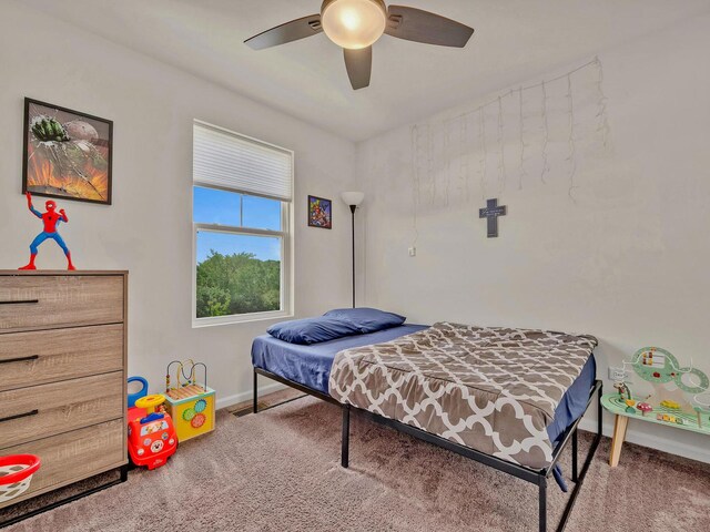 1617 Albany St, Grayslake, IL 60030 - photo 21