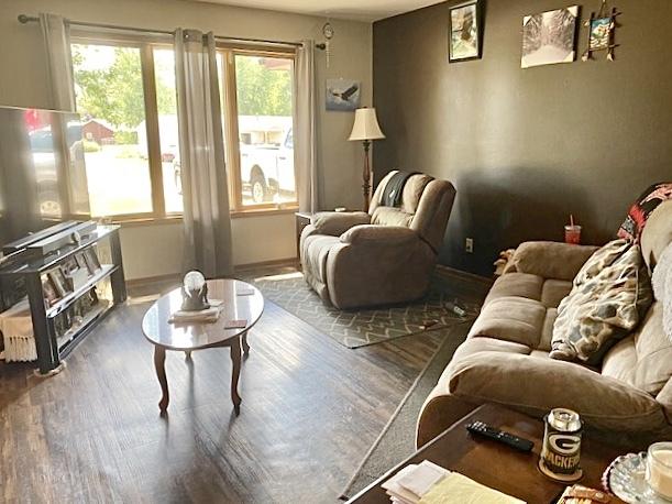 29176 Terra Vista Dr, Rock Falls, IL 61071 - living area featuring wood finished floors and baseboards