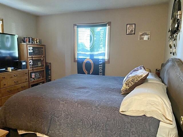 29176 Terra Vista Dr, Rock Falls, IL 61071 - view of bedroom