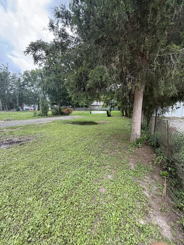 24041/2 W John St, Champaign, IL 61820 - view of yard