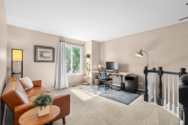 10154 Ashley St, Huntley, IL 60142 - office featuring carpet flooring