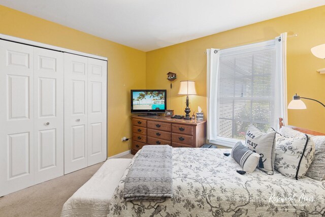 956 Lange Ave, Beecher, IL 60401 - photo 19