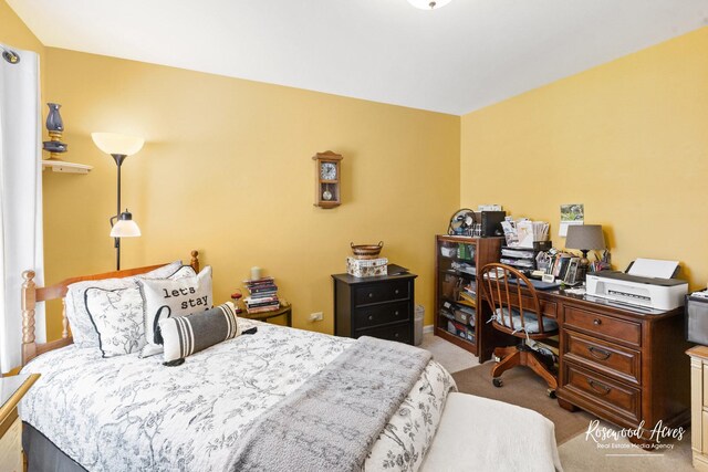 956 Lange Ave, Beecher, IL 60401 - photo 20