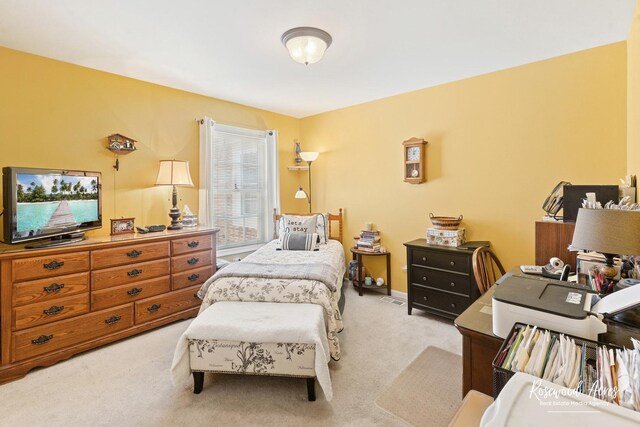 956 Lange Ave, Beecher, IL 60401 - photo 21